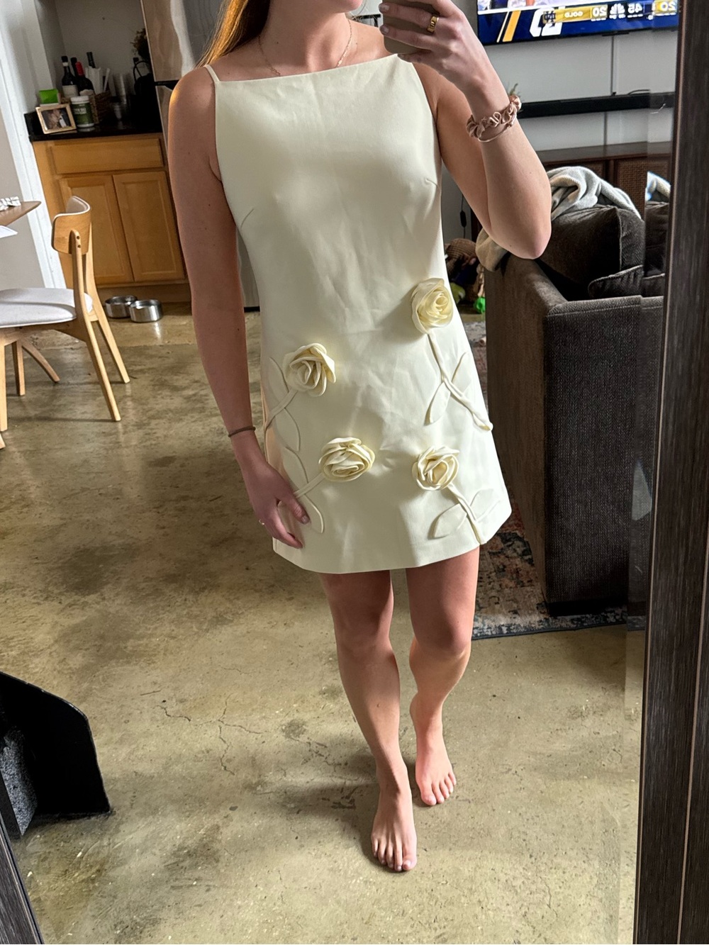 Ivory Floral Appliqué Mini Dress- Anthropologie NWT - Picture 3 of 4